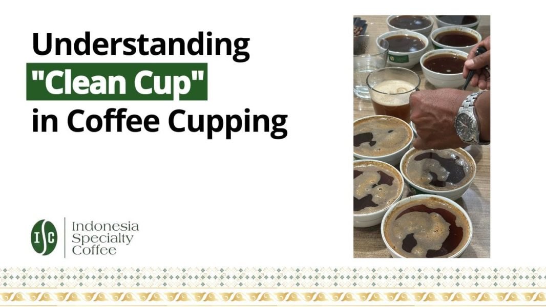 Understanding Clean Cup in Coffee Cupping