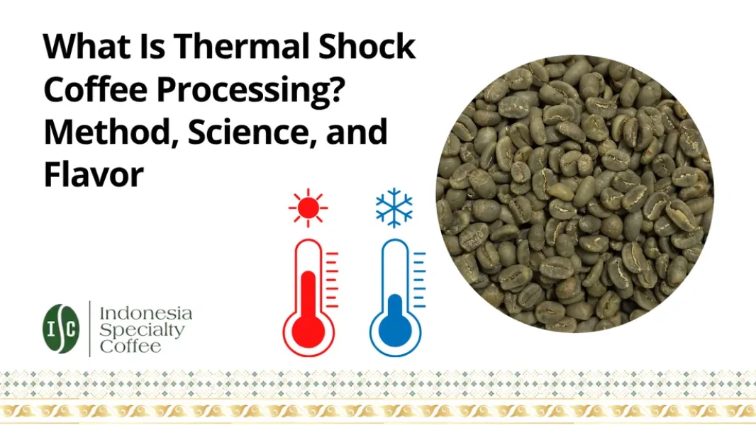 What Is Thermal Shock Coffee Processing Method, Science, and Flavor