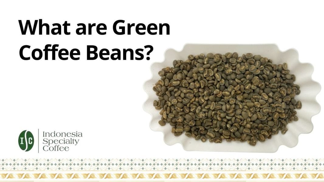 What are Green Coffee Beans