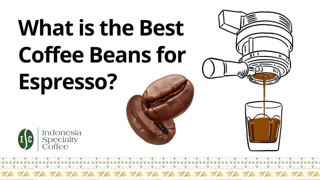 What is the Best Coffee Beans for Espresso