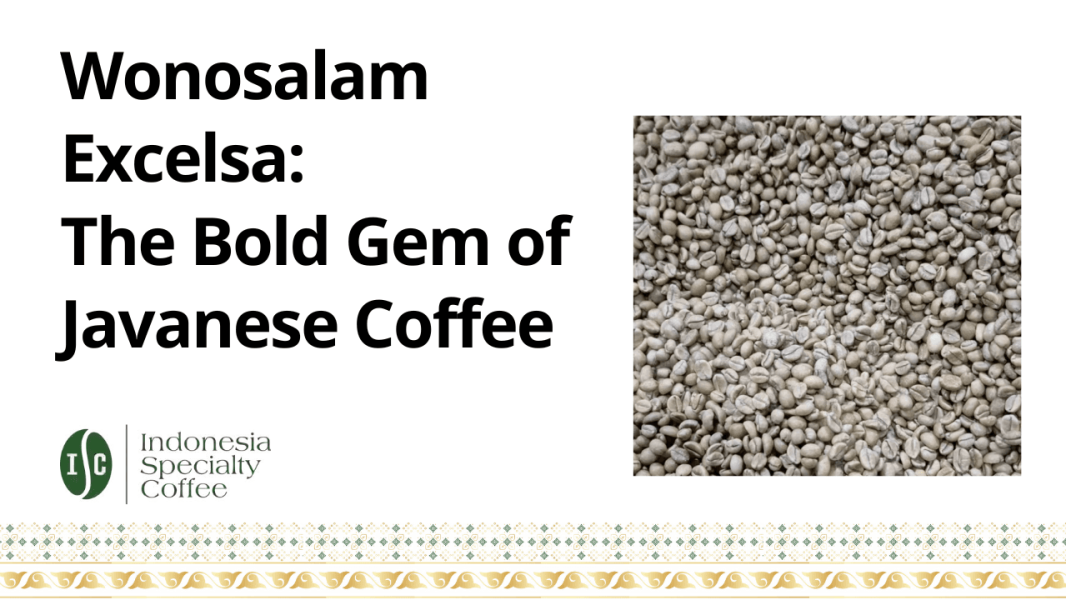 Wonosalam Excelsa The Bold Gem of Javanese Coffee