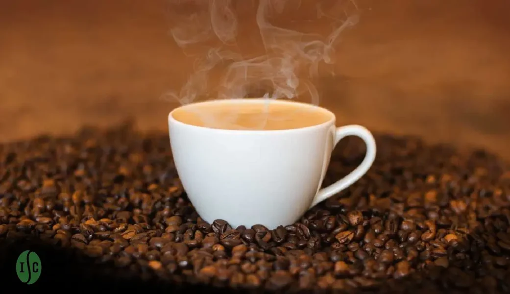 brewing balinese coffee