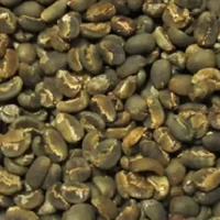 Java Preanger Grade 1 Green Coffee Beans