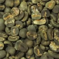 Arabica Sumatra Mandheling Green Coffee Beans