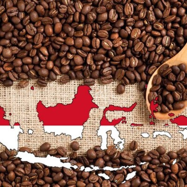 Indonesian Coffee Industry